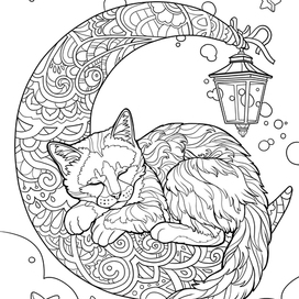 Сладкие сны