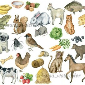 Акварельные предметные иллюстрации