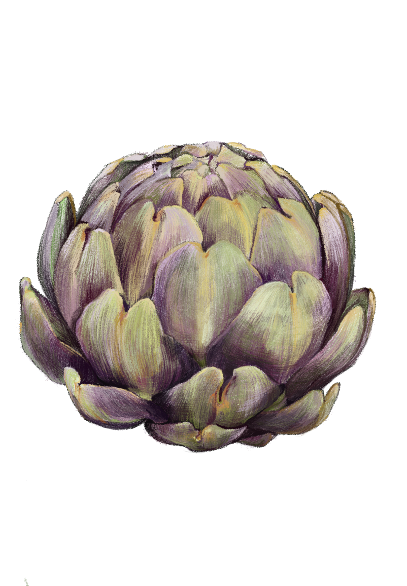 Суперфуды - артишок