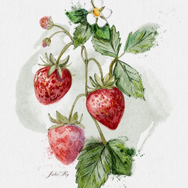 Иллюстрация в технике «digital-акварель»