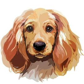 Собака - друг человека