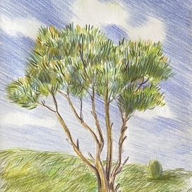 Небольшой пейзаж