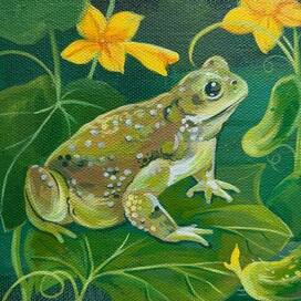 Из серии "Животные"