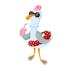 Чайка Агата - звезда Крымского побережья