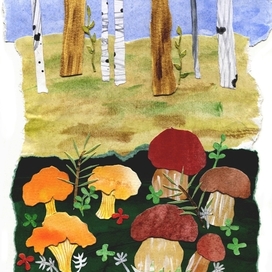 Открытка "Грибная поляна"