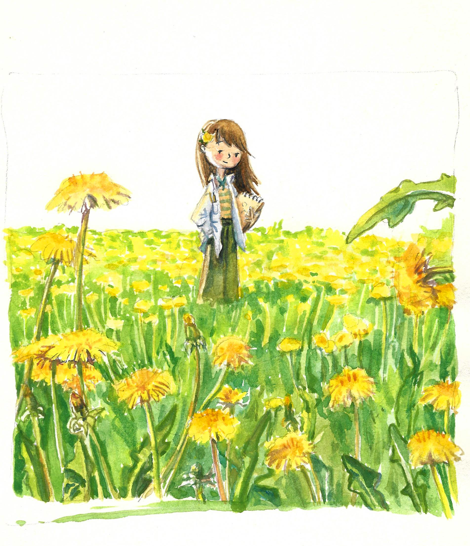 одуванчики