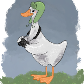 Гусик с фотоаппаратом