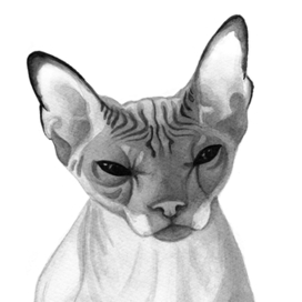 Котик Изюмка