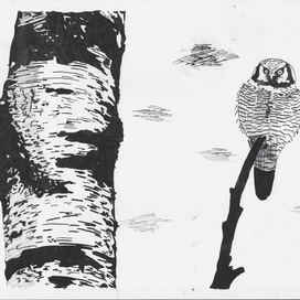 Белая береза