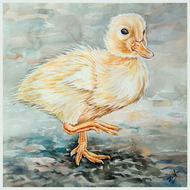 "Милый утёнок"