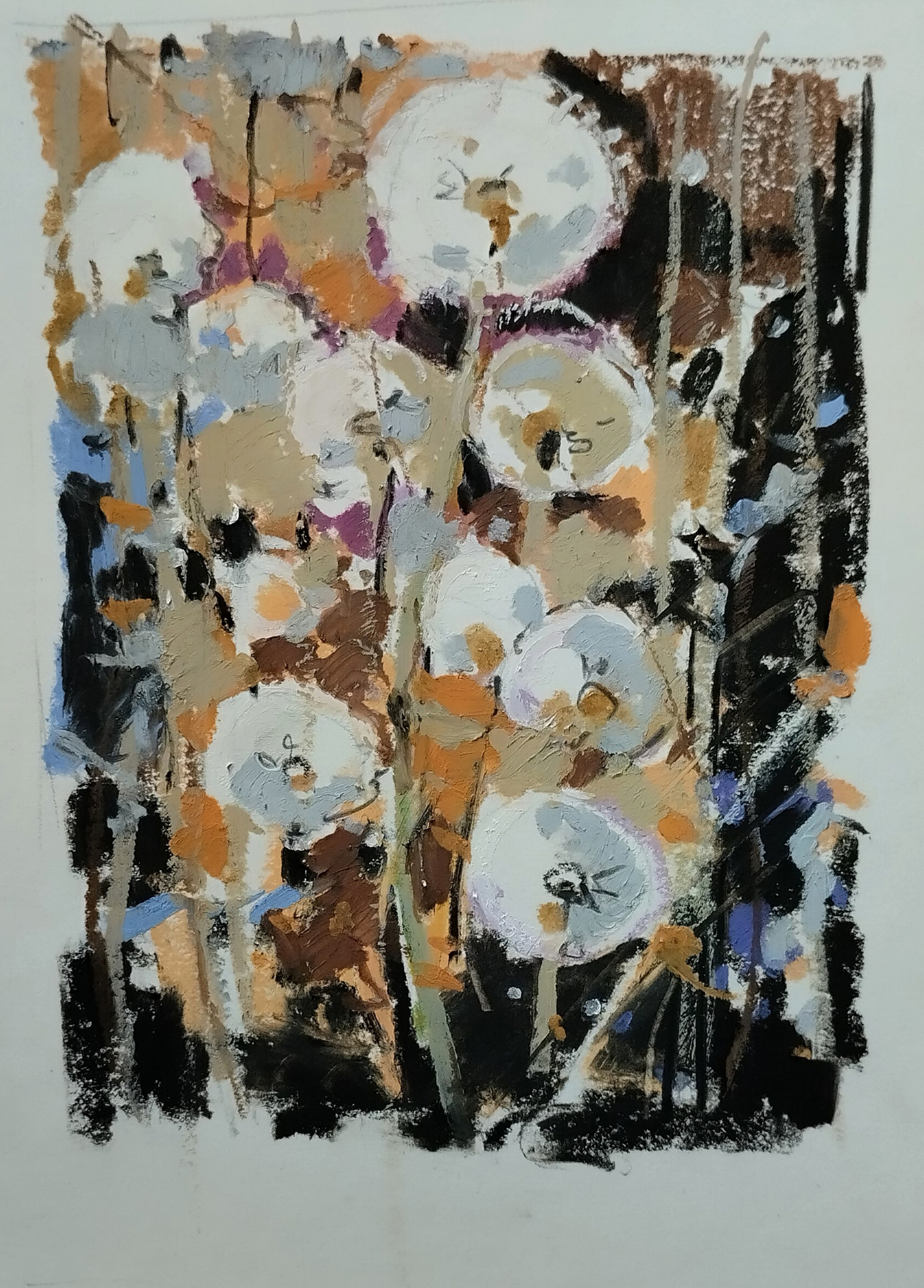 Одуванчики