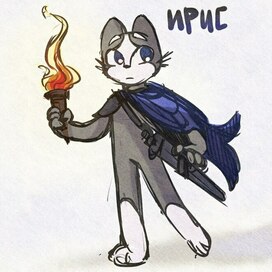 Котенок Ирис