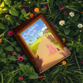 Обложка для книги