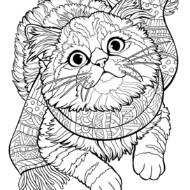 Котик в шарфике