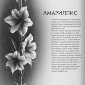 Амариллис | Flowers of Greece | SKETCHBOOK