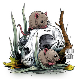 Мыши на черепе кота