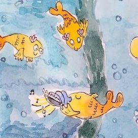 gold fishes & music