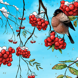 снегирь на рябине