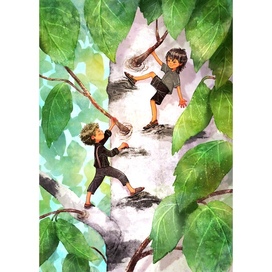 Вверх по берёзе. 