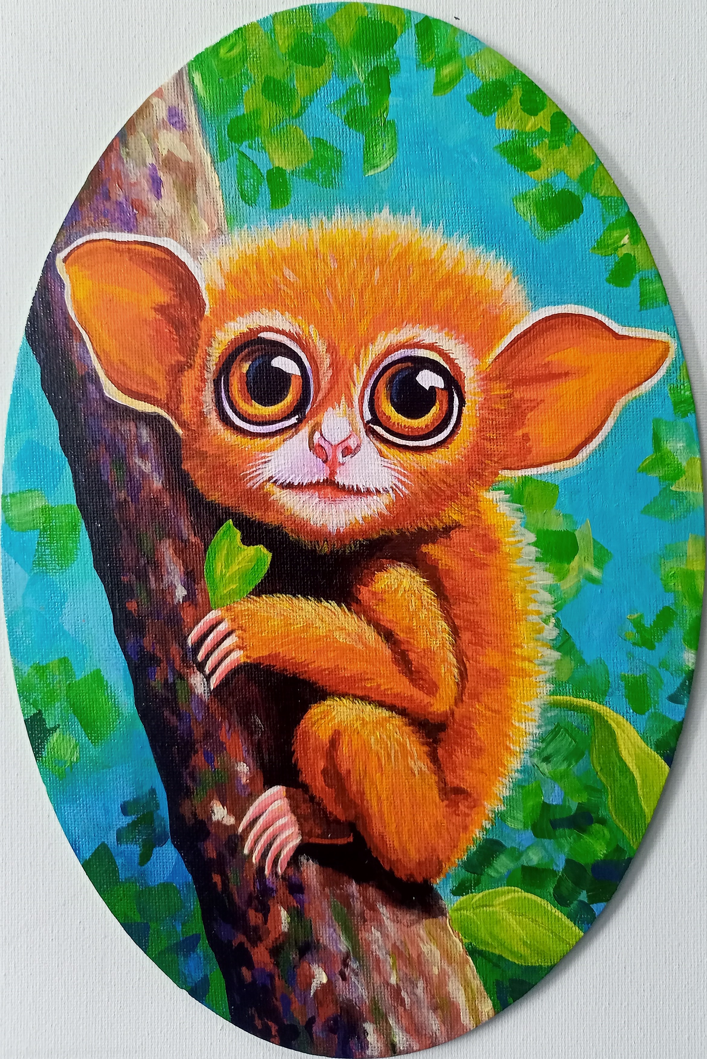 Малыш - долгопят. Первая прогулка