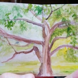 Пленэр.Дерево. Разворот 8*16