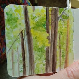 Пленэр.Солнце в парке. 8*8