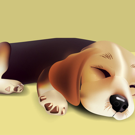 Милый спящий щенок