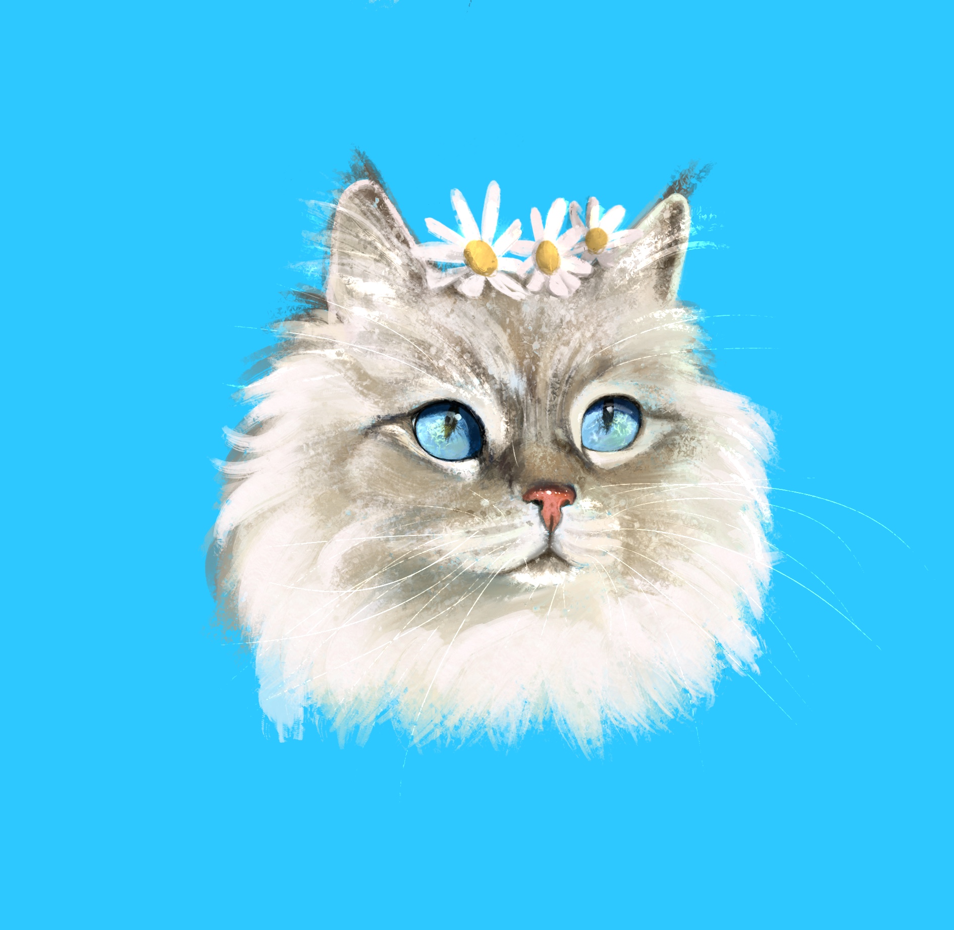 Портрет кота