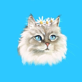 Портрет кота 