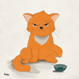 Забыли про кота