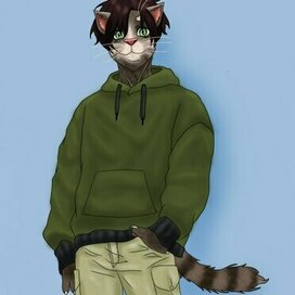 Фурри версия Говорящего Тома🐱