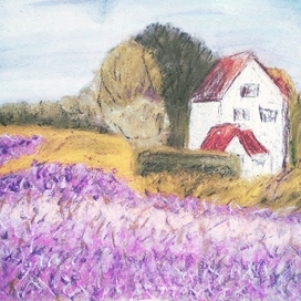 Цветочное поле