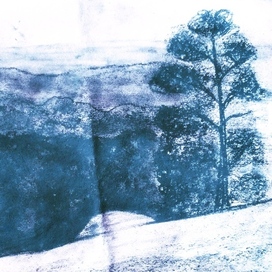 Лес у обрыва