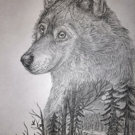 Волк. Воспоминания