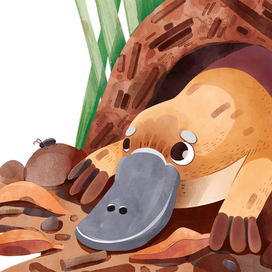 Книжный разворот. Утконос