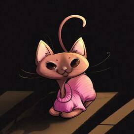 кошечка в кофте