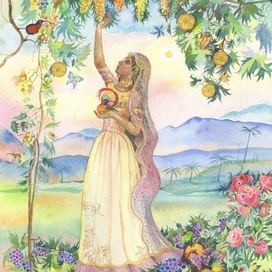 Девятка пентаклей