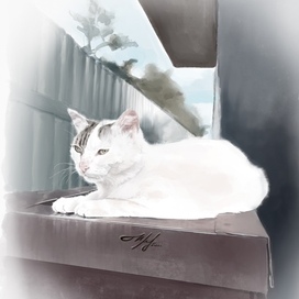 Кошка у кофейни