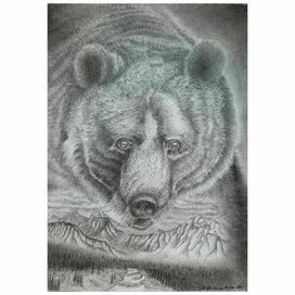 Хозяин тайги. Медведь.