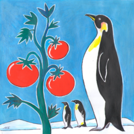 Иллюстрация в журнал "А почему?" Рубрика" Со всего света". Редакция-Юный техник. Опубликовано. Тема: Помидоры выращенные на станции в Антарктиде. Техника: Бумага, акрил, гуашь, тушь. Художник: Марат Брызгалов.