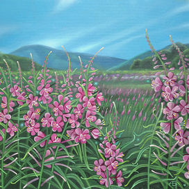 Пока цветёт иван-чай