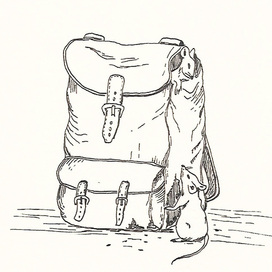 Любопытные