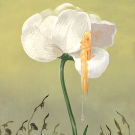 Метафорическая карта