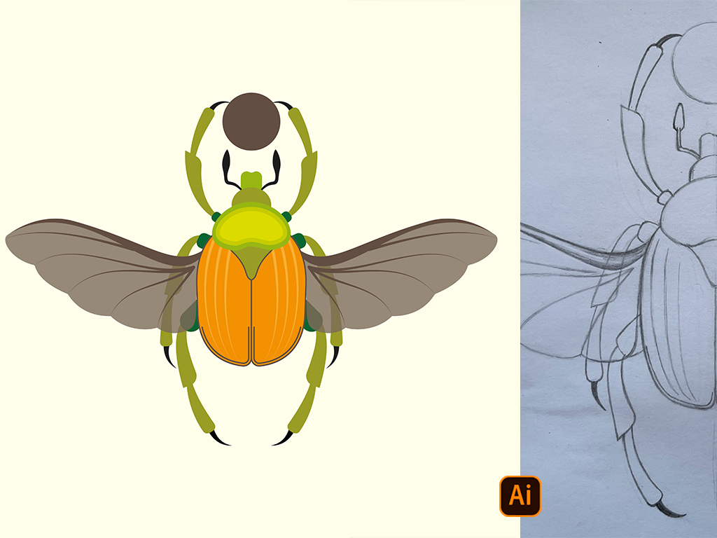 Скарабей - векторная иллюстрация