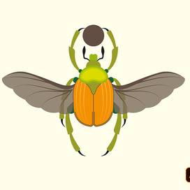 Скарабей - векторная иллюстрация 