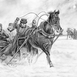 Прогулка на санях