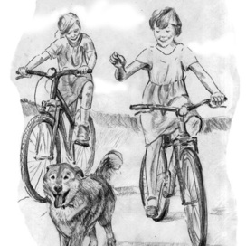 иллюстрация