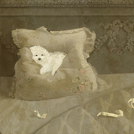 Маленький Моцарт