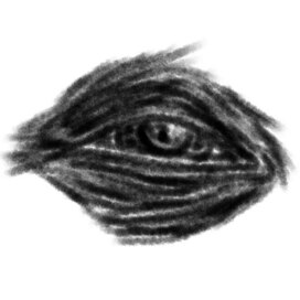 Око мудреца