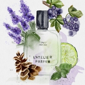 Акварельная иллюстрация для рекламы 